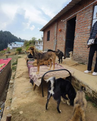 WhatsApp Image 2025-03-27 at 15.54.09_d1db8b14